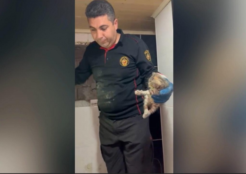 OSMANİYE’DE MAHSUR KALAN YAVRU KEDİYİ İTFAİYE EKİPLERİ KURTARDI