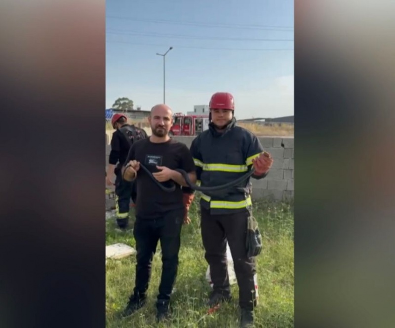OSMANİYE'DE İTFAİYE ERİ, YAKALADIĞI YILANA SU VERİP DOĞAYA SALDI